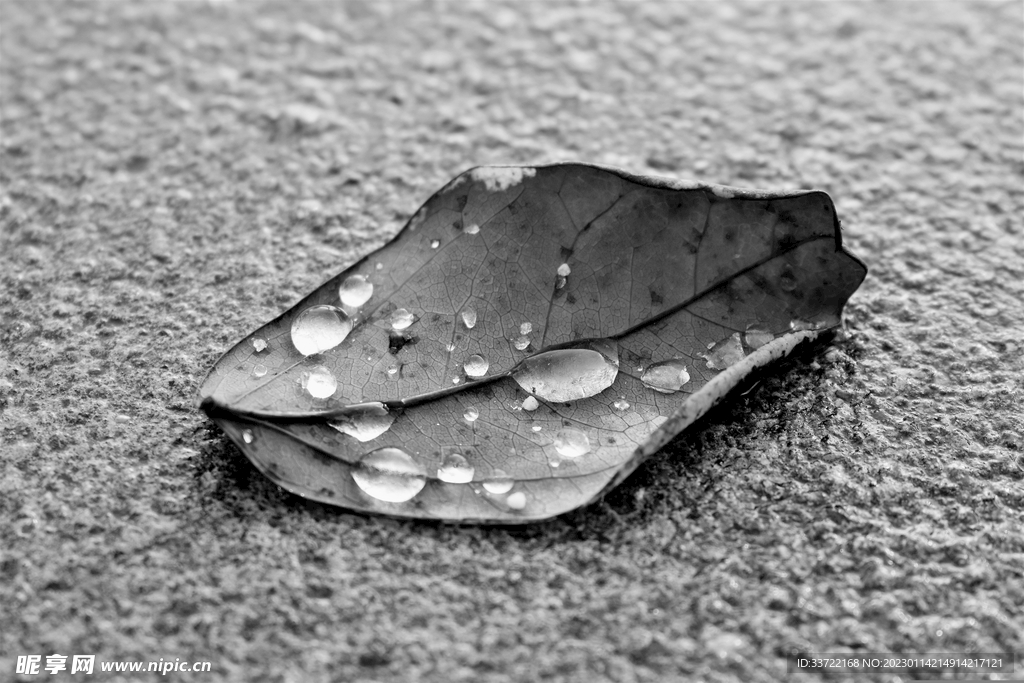 水滴水珠