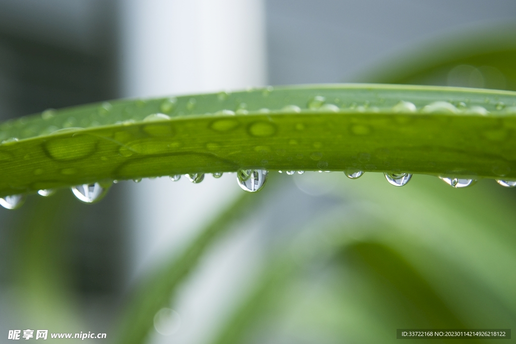 水滴水珠