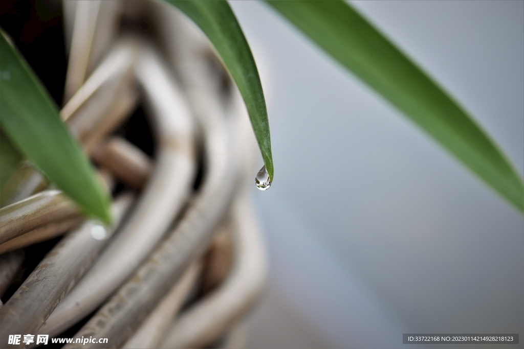 水滴水珠
