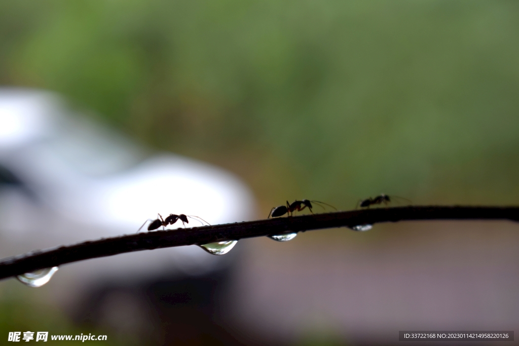 水滴水珠