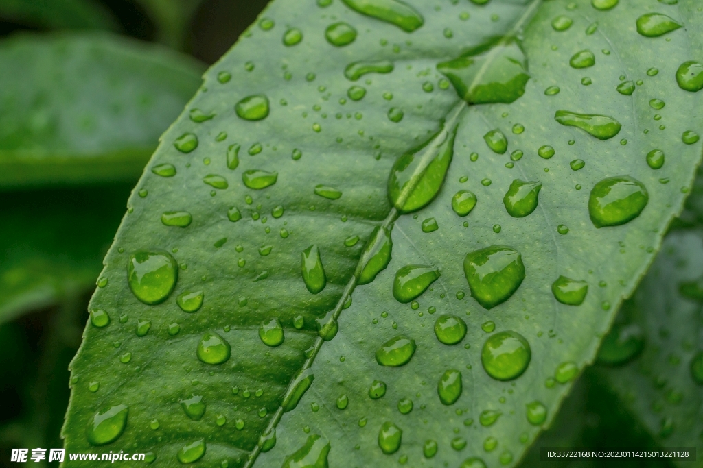 水滴水珠