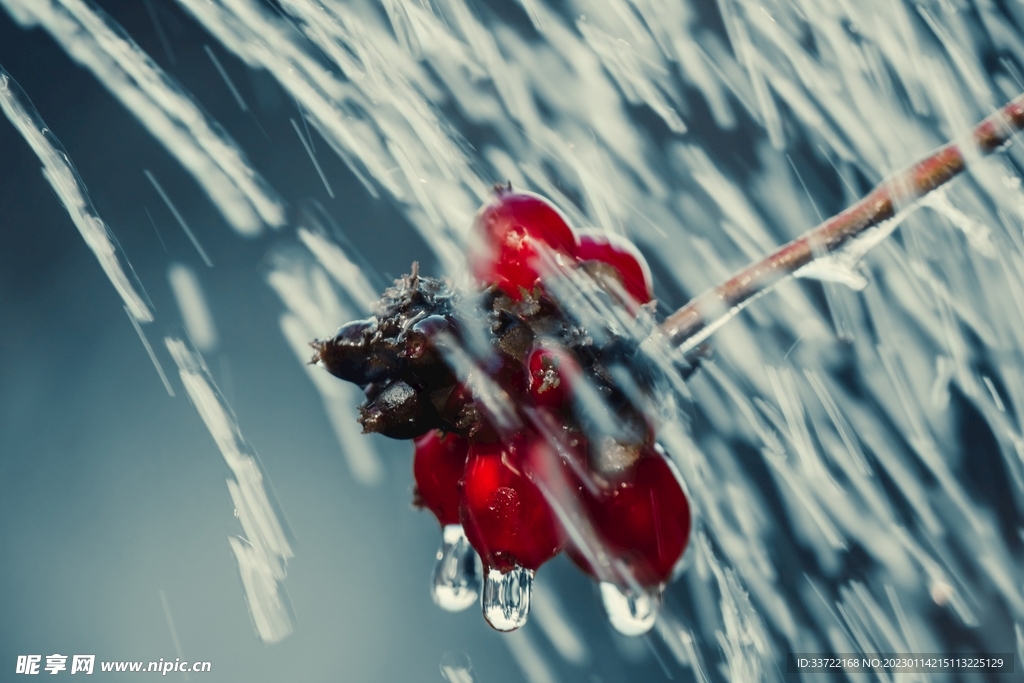 水滴水珠