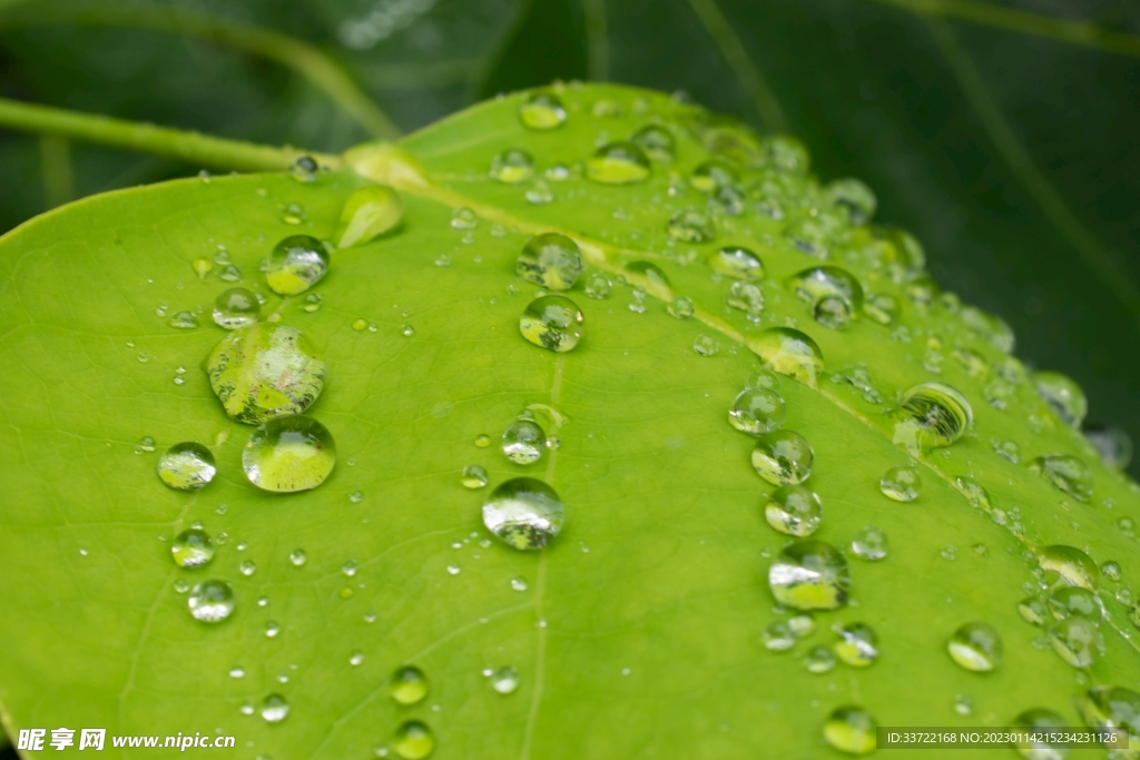 水滴水珠