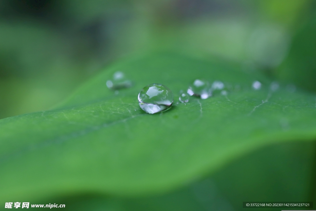 水滴水珠
