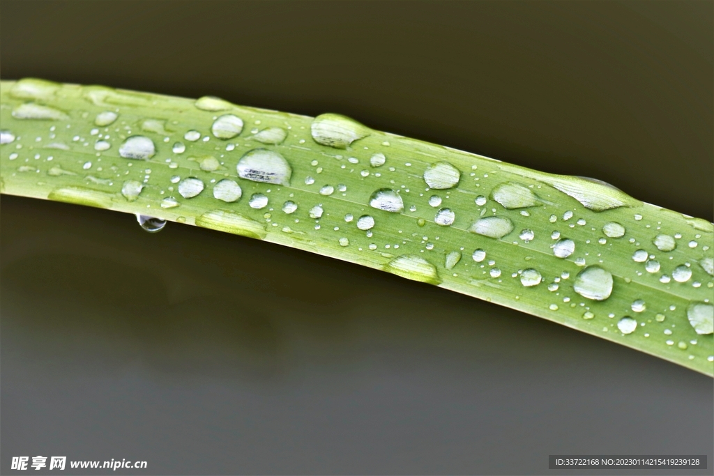 水滴水珠