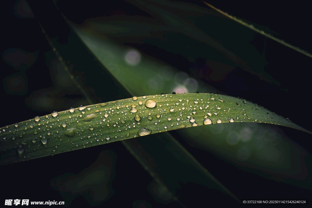 水滴水珠