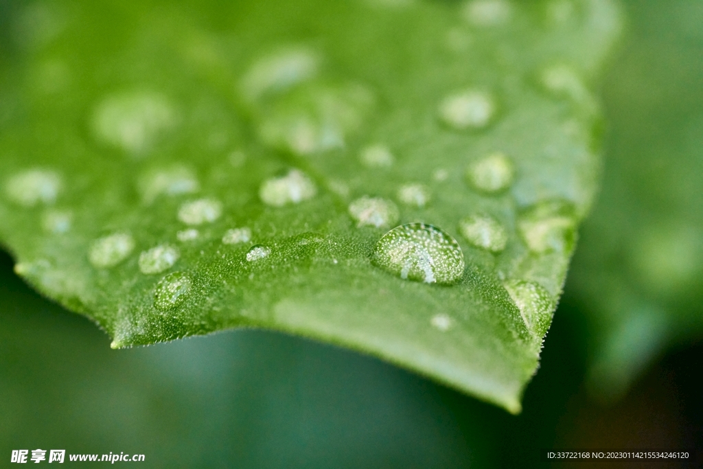 水滴水珠