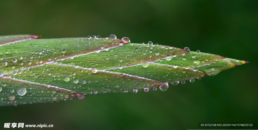 水滴水珠