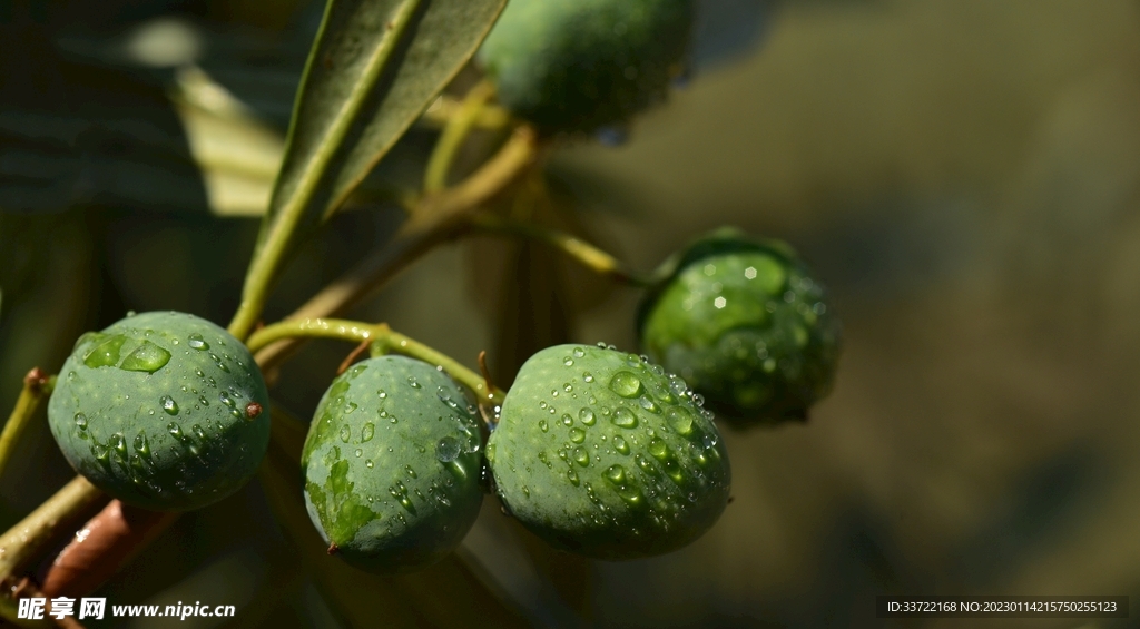 水滴水珠