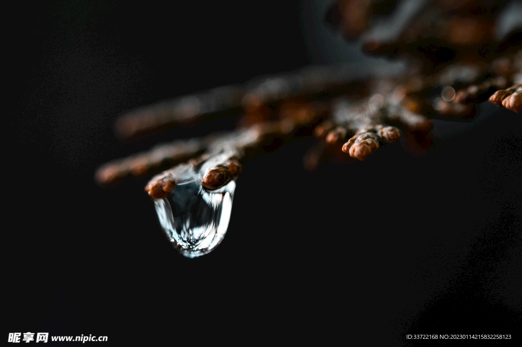 水滴水珠