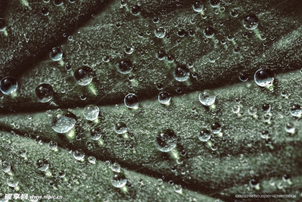 水滴水珠