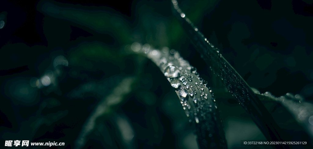 水滴水珠