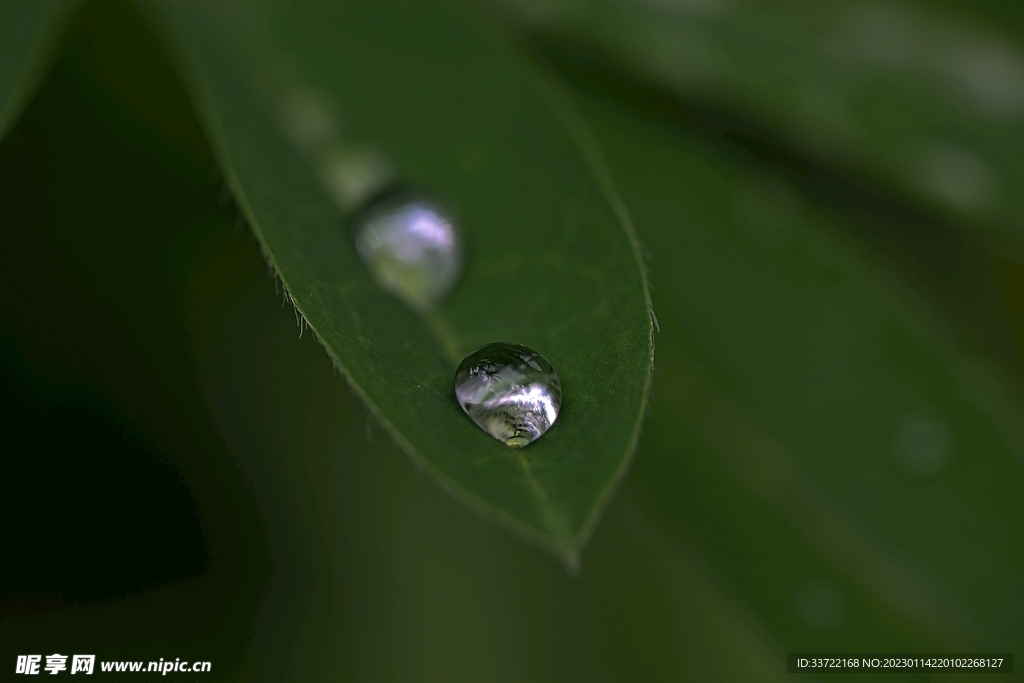 水滴水珠