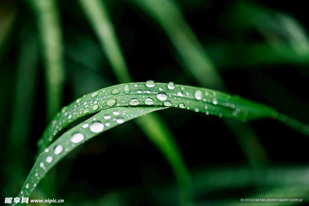 水滴水珠