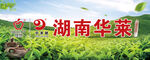 湖南华莱