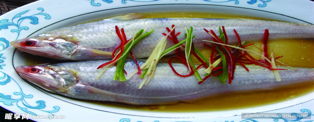 鲥鱼