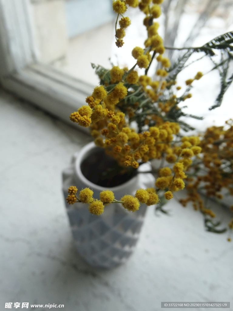 花瓶插花