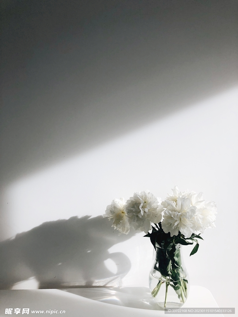 花瓶插花
