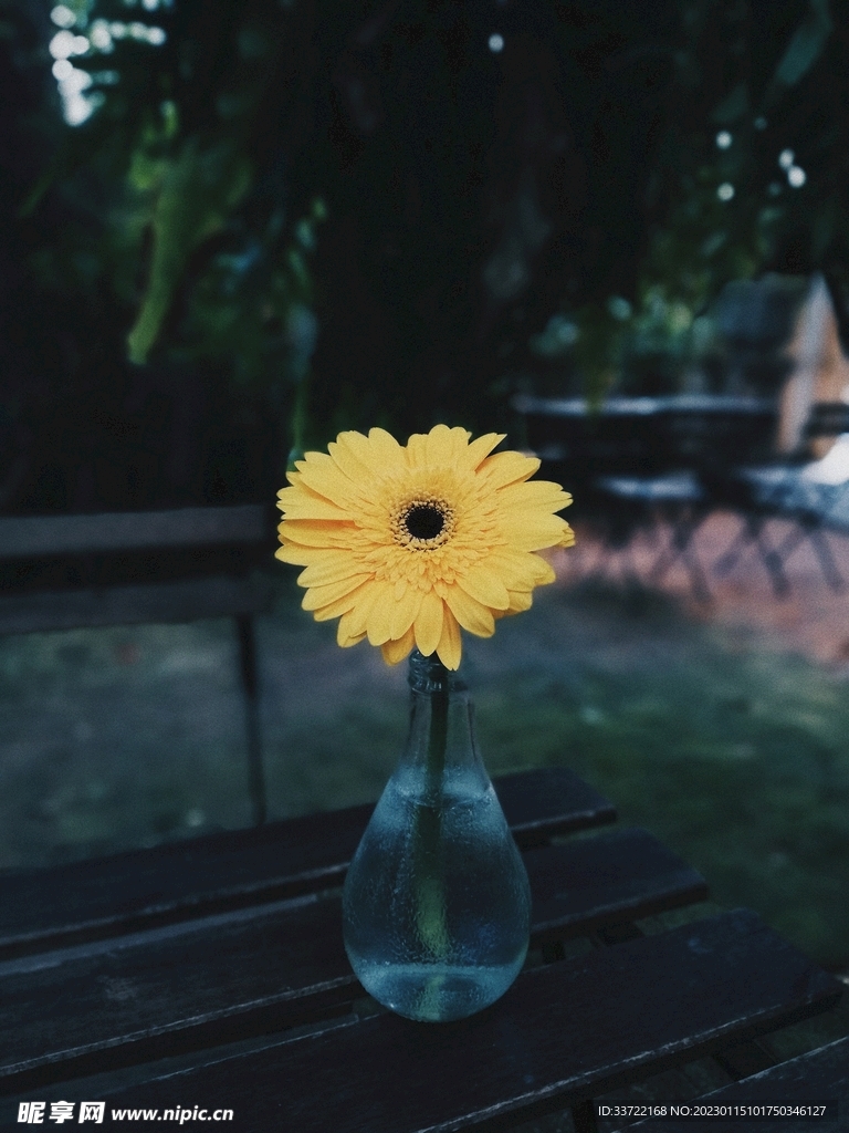 花瓶插花