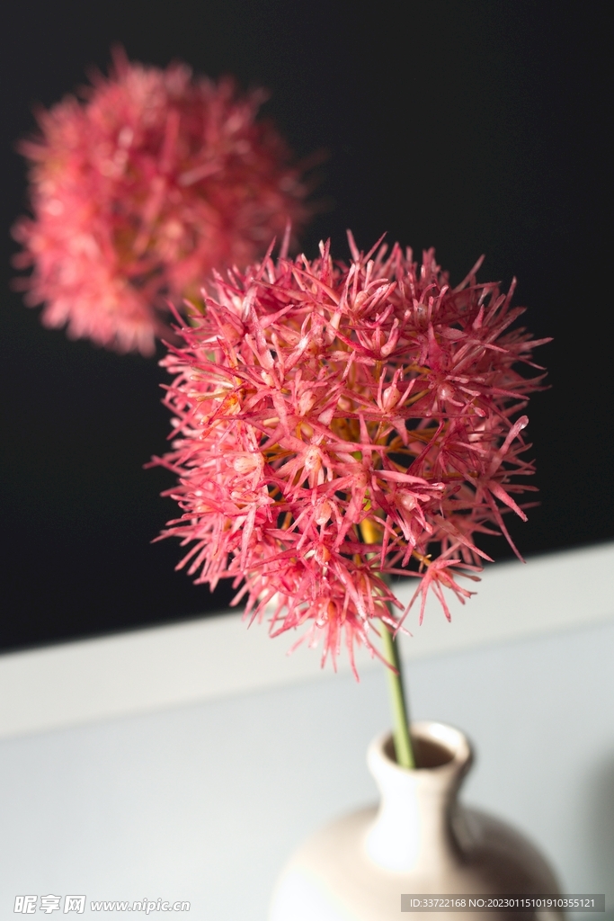 花瓶插花