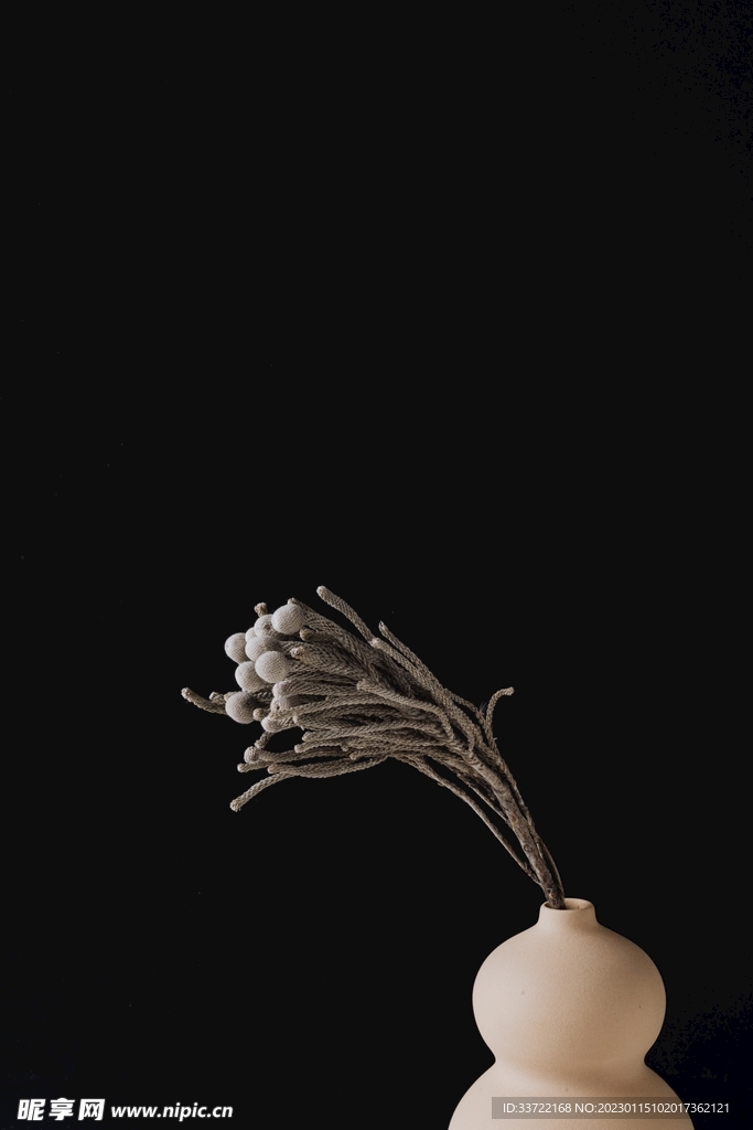 花瓶插花