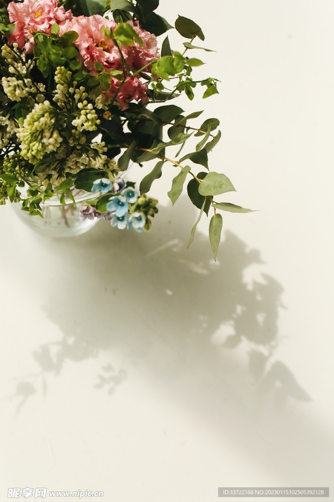 花瓶插花