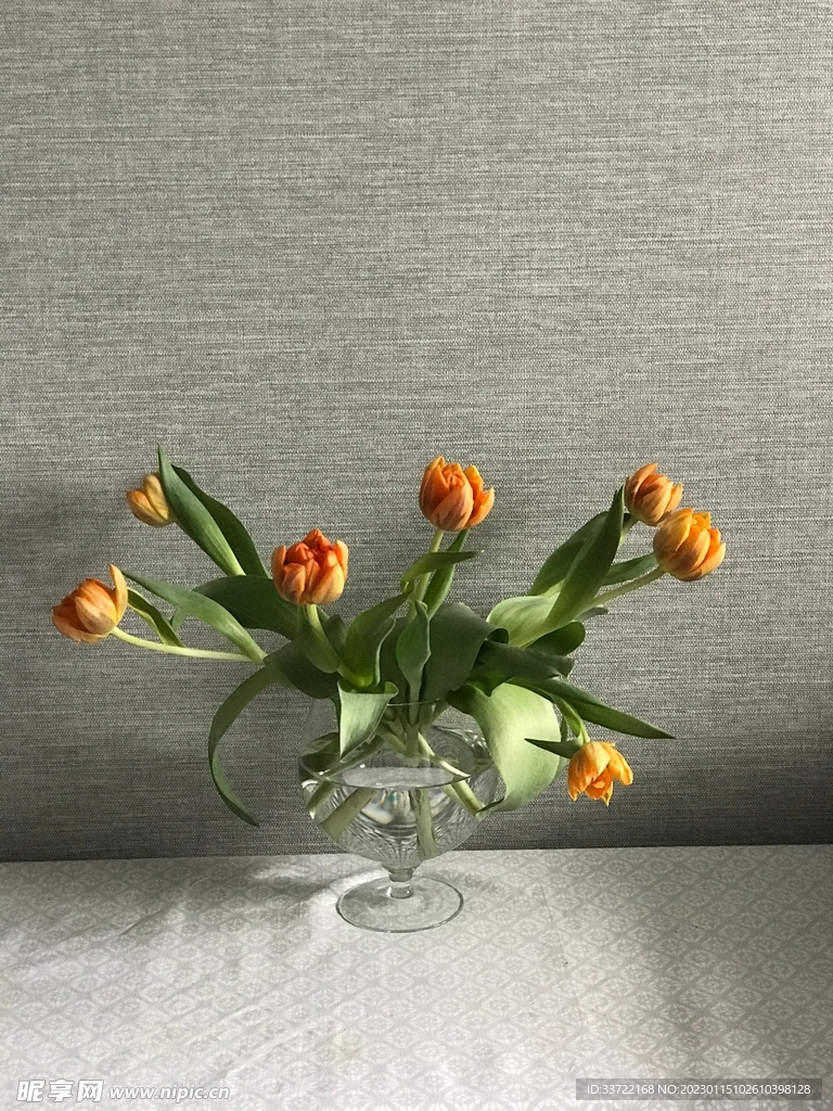 花瓶插花