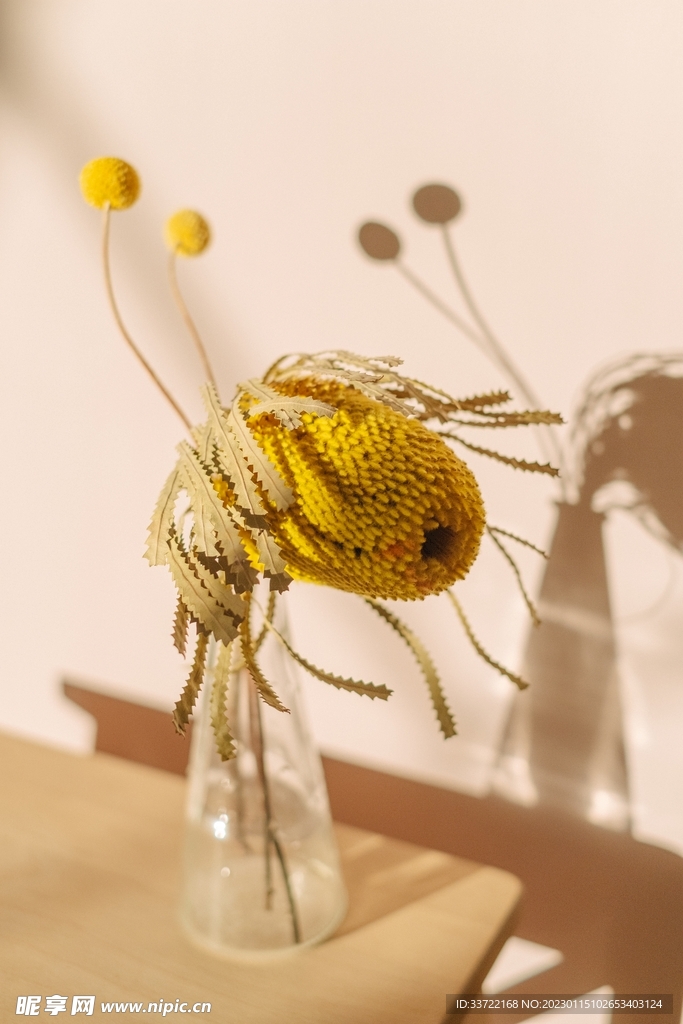 花瓶插花
