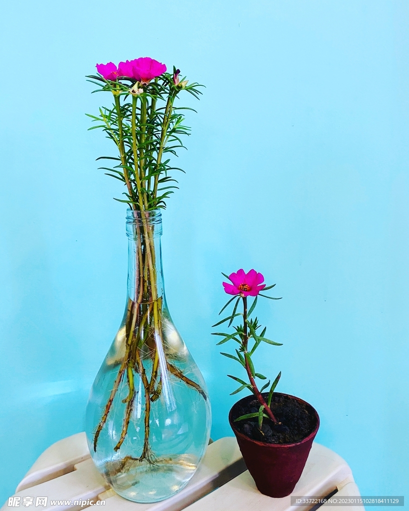 花瓶插花