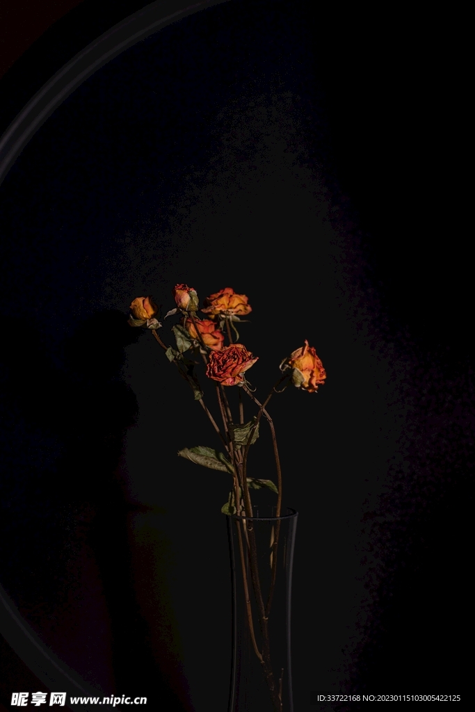 花瓶插花