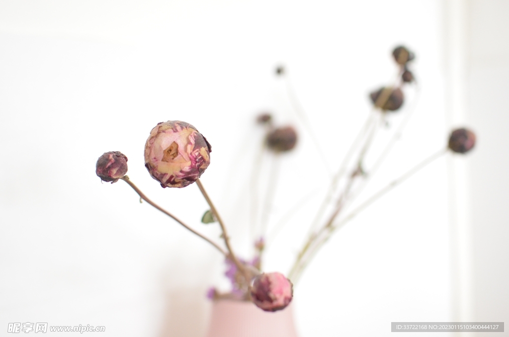 花瓶插花