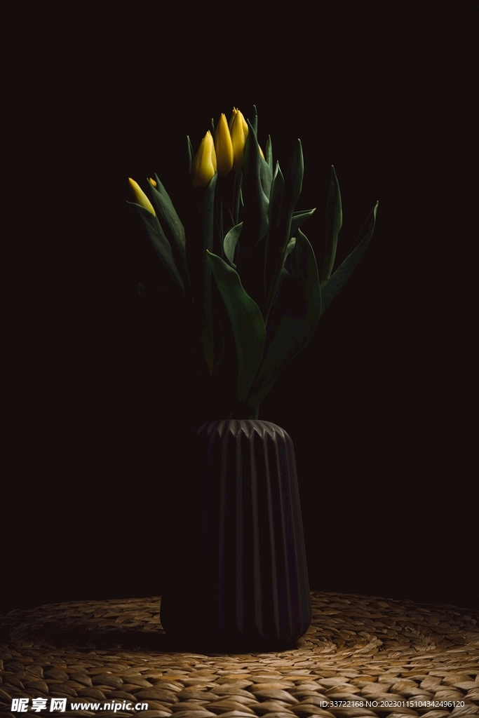 花瓶插花