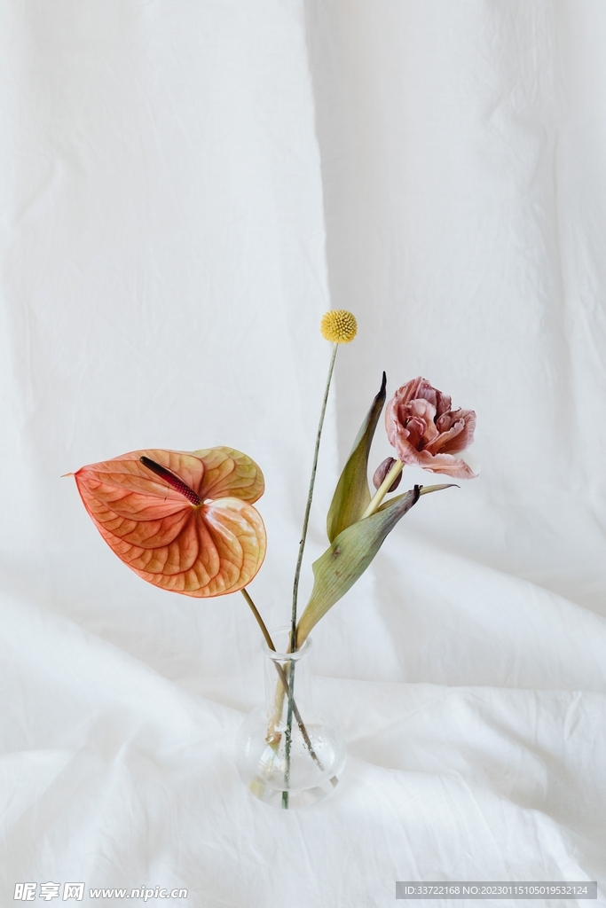 花瓶插花