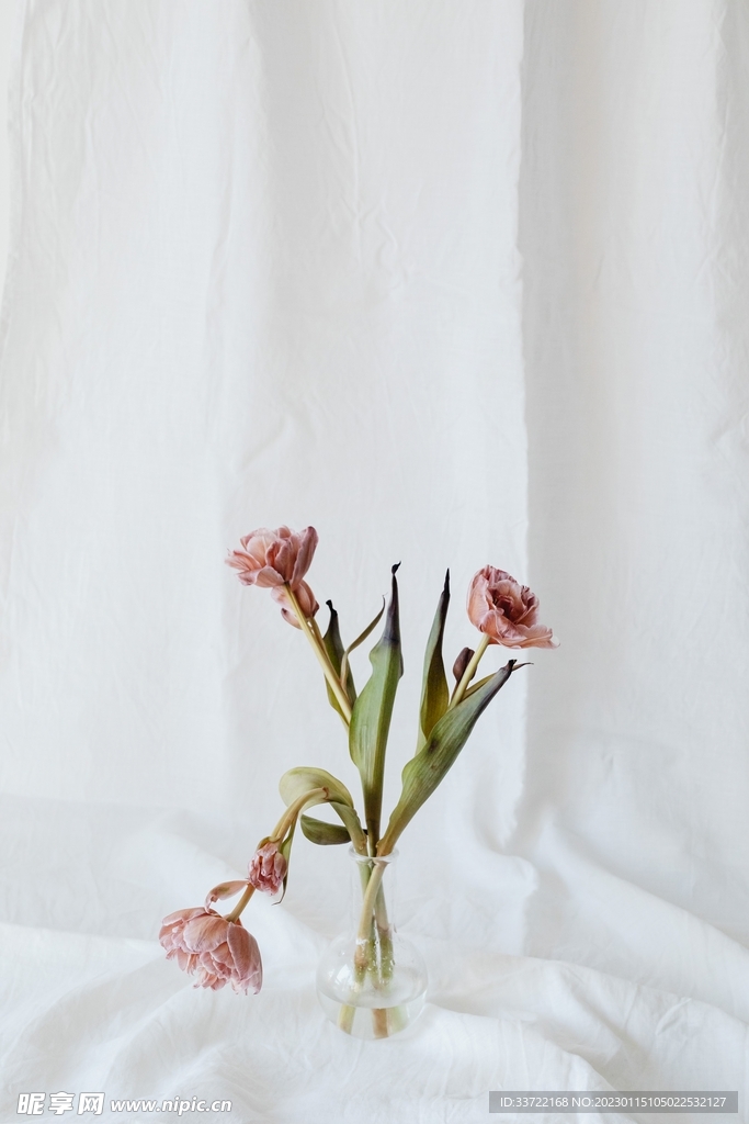花瓶插花