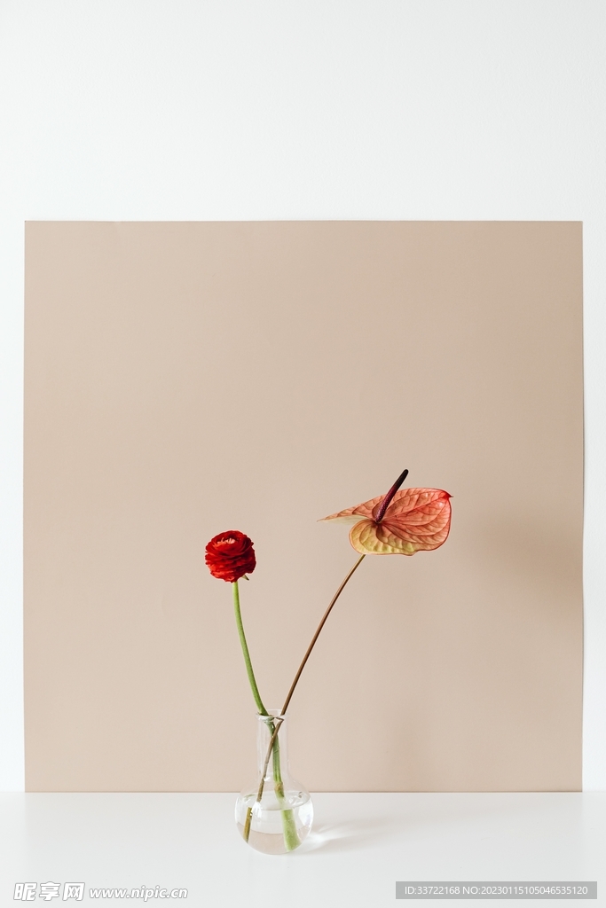 花瓶插花