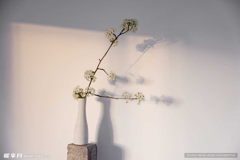 花瓶插花