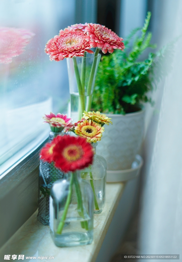 花瓶插花