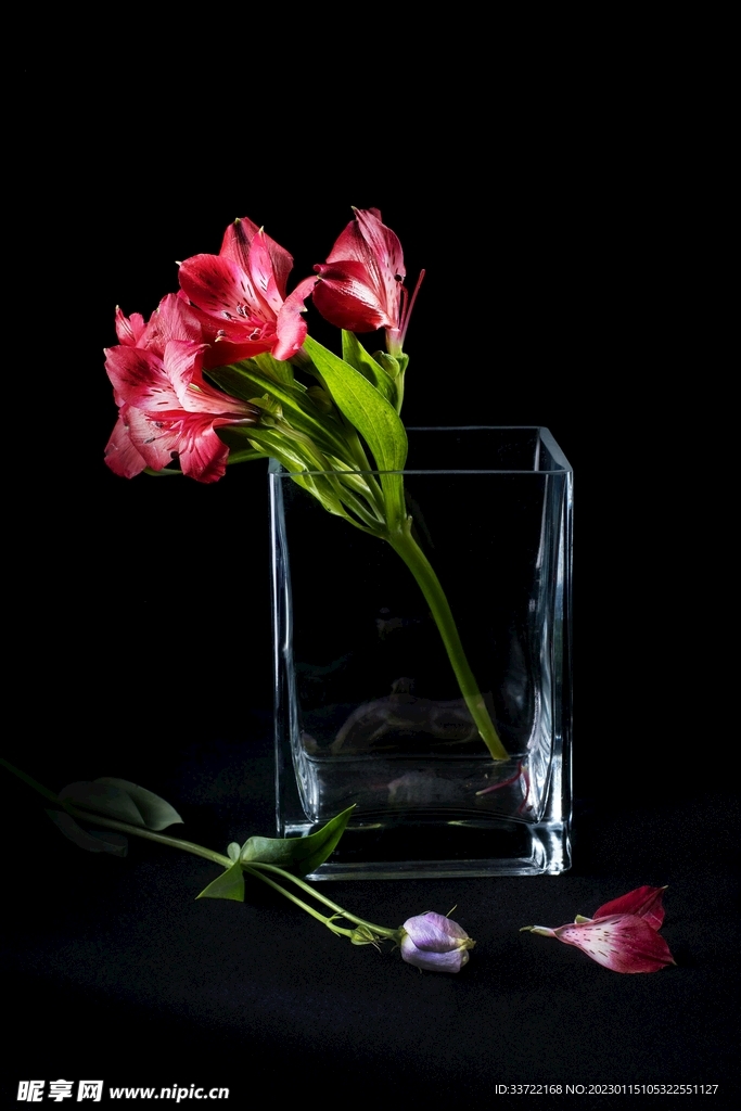 花瓶插花