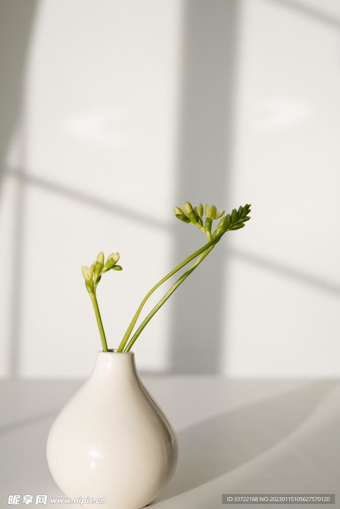 花瓶插花