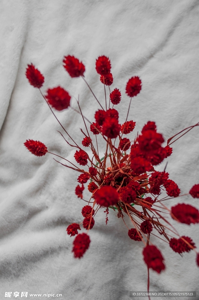 花瓶插花