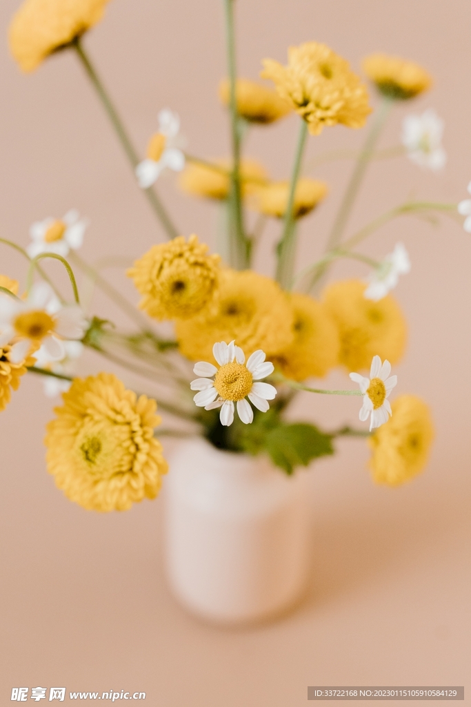 花瓶插花
