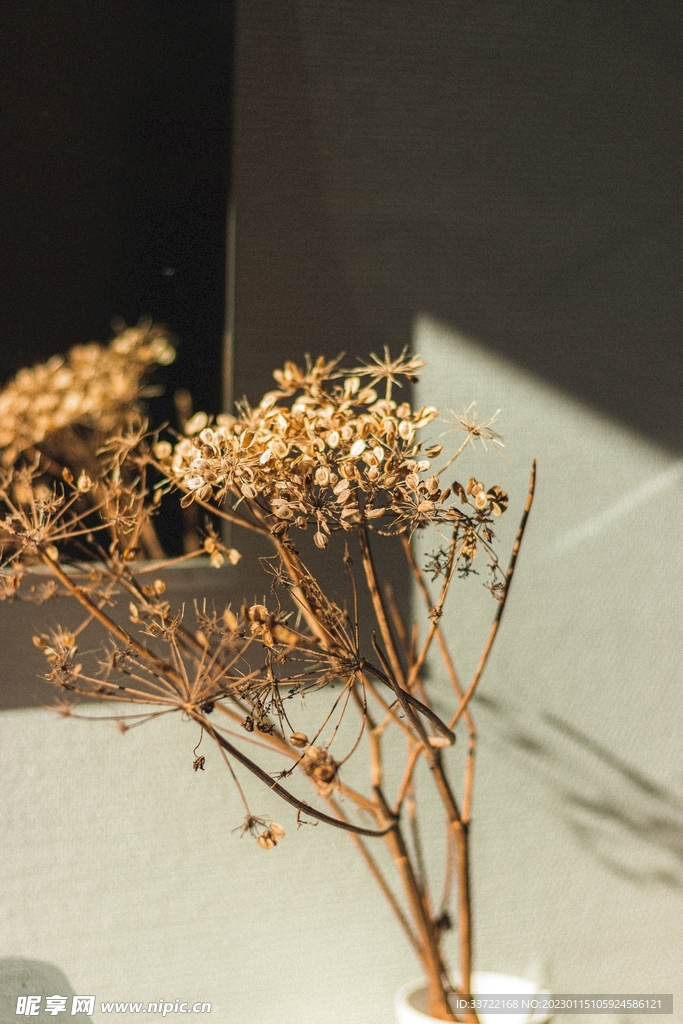 花瓶插花