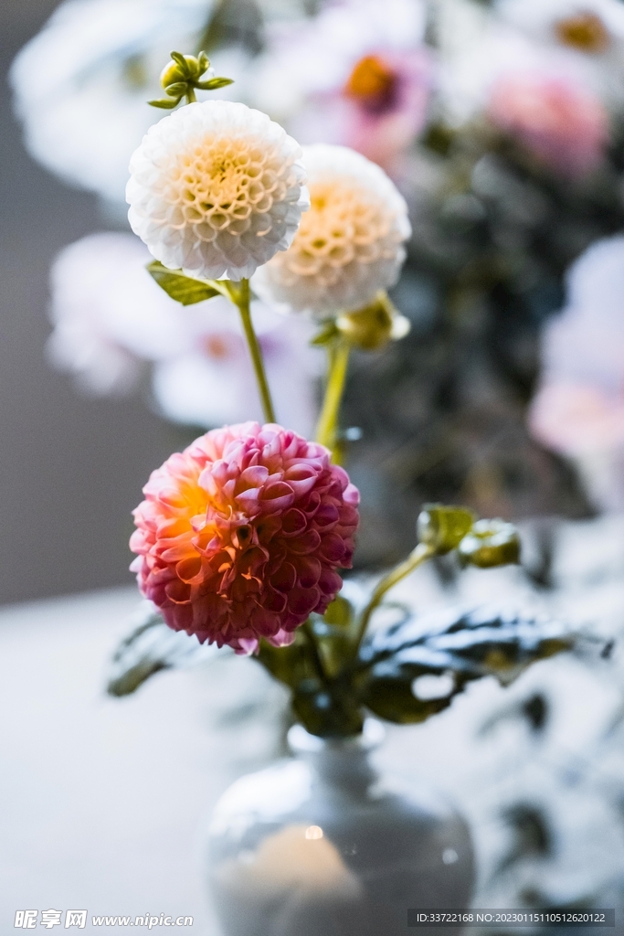 花瓶插花