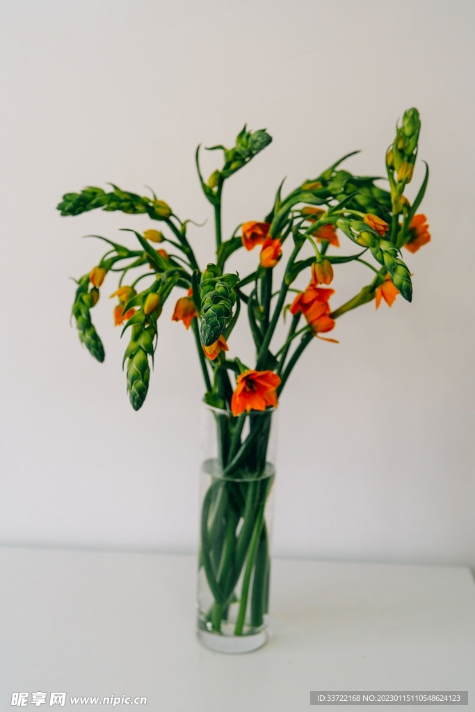 花瓶插花