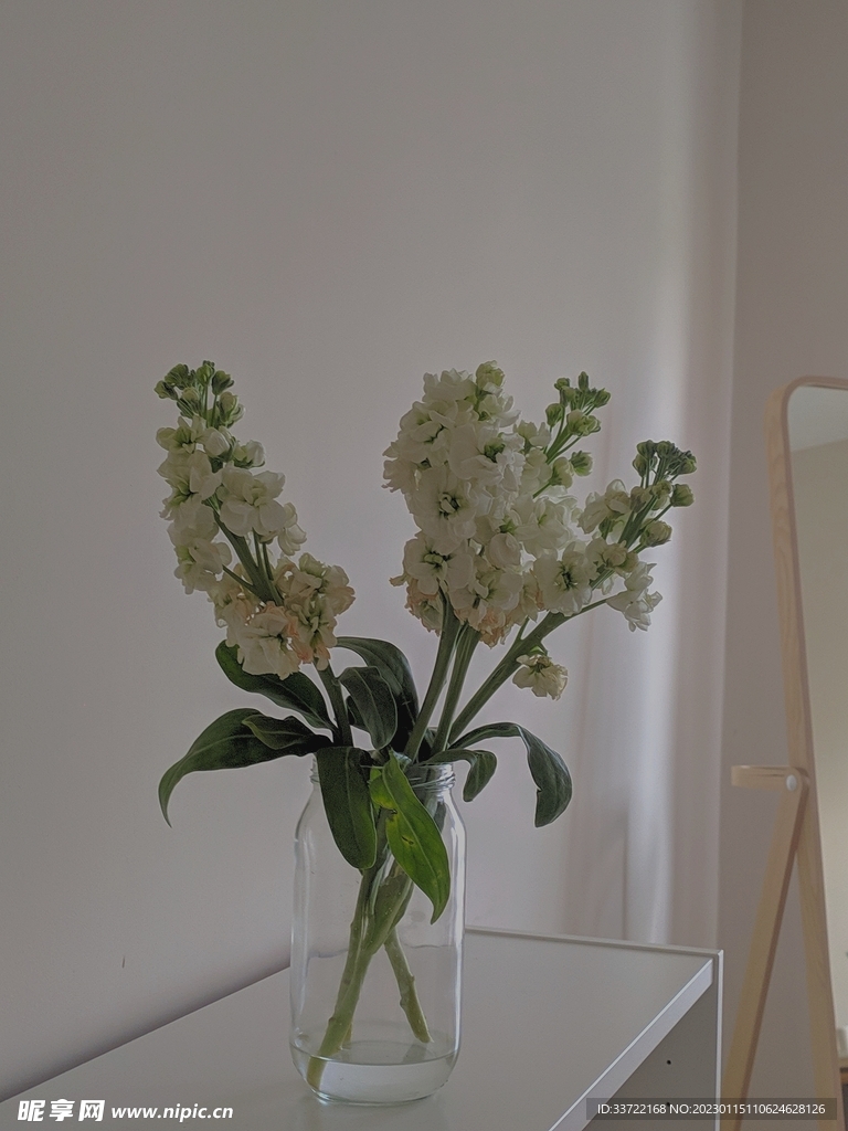 花瓶插花