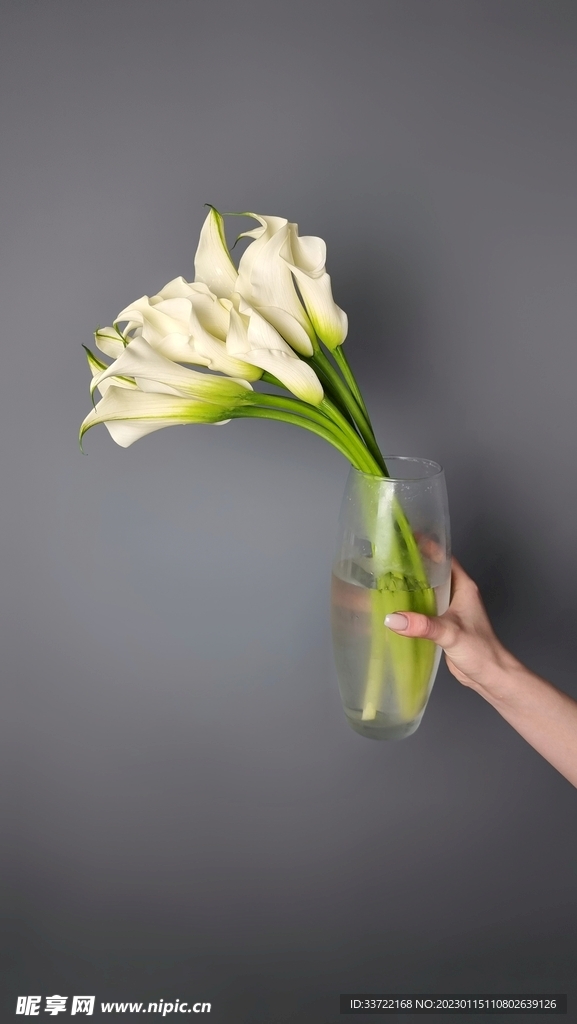 花瓶插花
