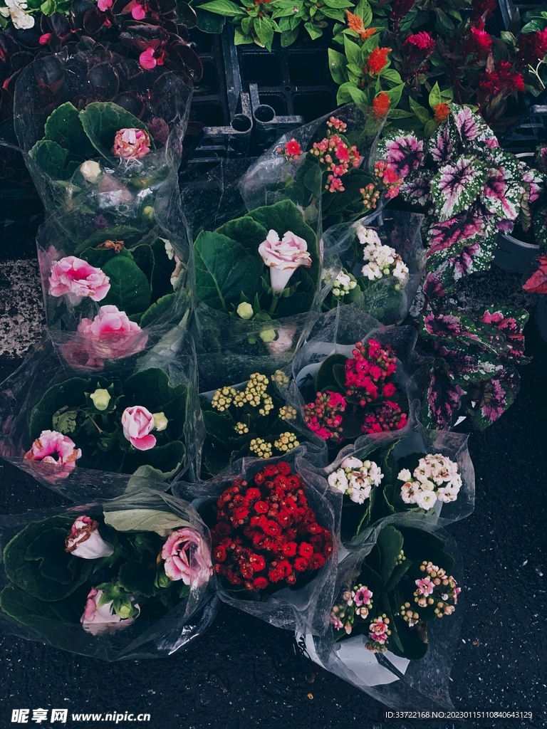 花瓶插花