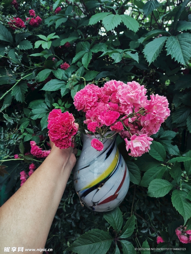 花瓶插花