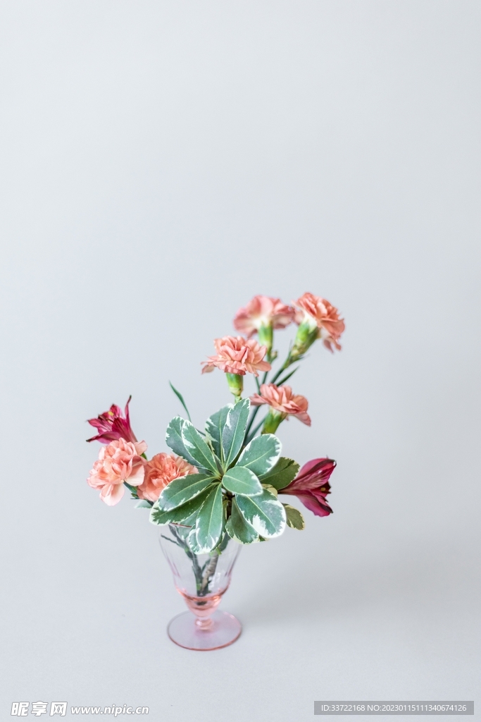 花瓶插花