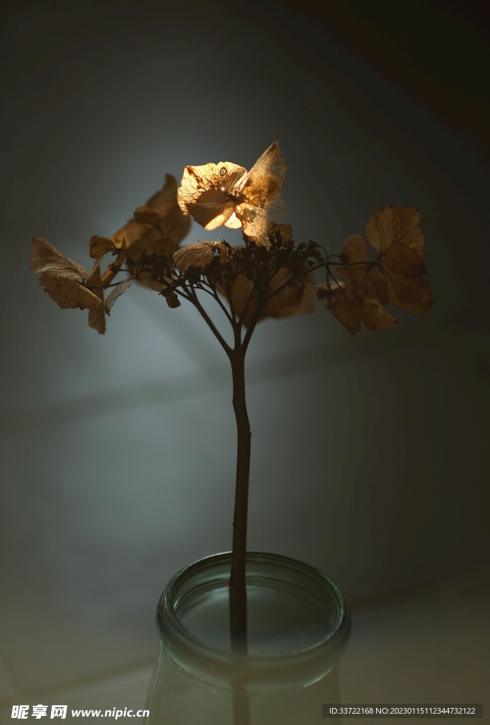 花瓶插花
